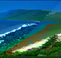Cairns Reef and Rainforest Combo Daintree Rainforest and the Great Barrier Reef - Yamba Accommodation