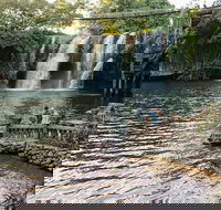 Paronella Park and Millaa Millaa Falls Full-day Tour from Cairns - Yamba Accommodation