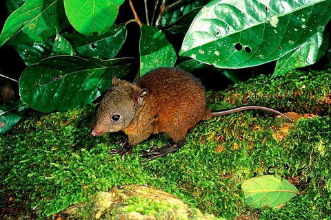 3-Day Small-Group Tour Of North Queensland With Pick Up - Yamba Accommodation 0