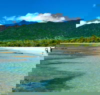 Private Daintree National Park Day Tour from Cairns Including Cape Tribulation and Mossman Gorge - Yamba Accommodation