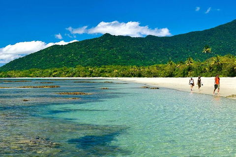 Private Daintree National Park Day Tour From Cairns Including Cape Tribulation And Mossman Gorge - Yamba Accommodation 0
