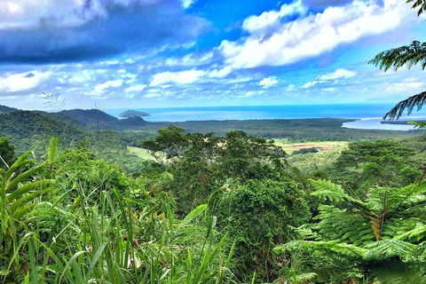 Private Daintree National Park Day Tour From Cairns Including Cape Tribulation And Mossman Gorge - Yamba Accommodation 2
