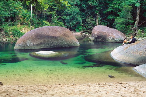 Private Daintree National Park Day Tour From Cairns Including Cape Tribulation And Mossman Gorge - Yamba Accommodation 4