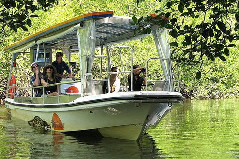 Private Daintree National Park Day Tour From Cairns Including Cape Tribulation And Mossman Gorge - Yamba Accommodation 5