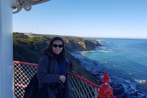 Great Ocean Road Full Day Private Experience - Yamba Accommodation 1