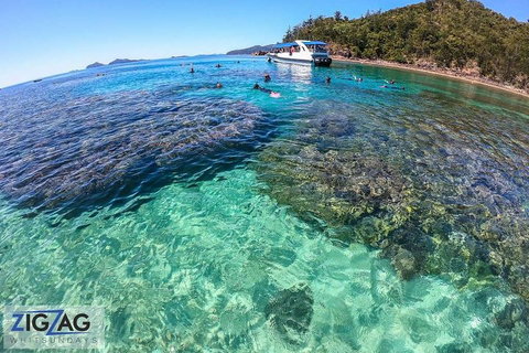 Whitehaven Beach Day Tour With Snorkel In Whitsundays Island - Yamba Accommodation 5