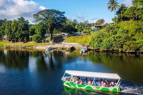 Afternoon Half-Day Daintree Rainforest And River Tour - Yamba Accommodation 1