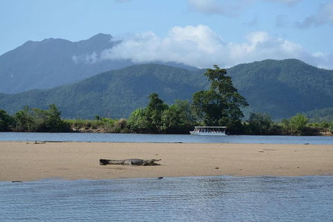 Afternoon Half-Day Daintree Rainforest And River Tour - Yamba Accommodation 2