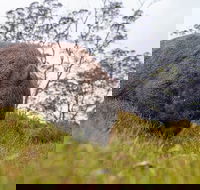 3-Day Cradle Mountain Photography Workshop - Yamba Accommodation