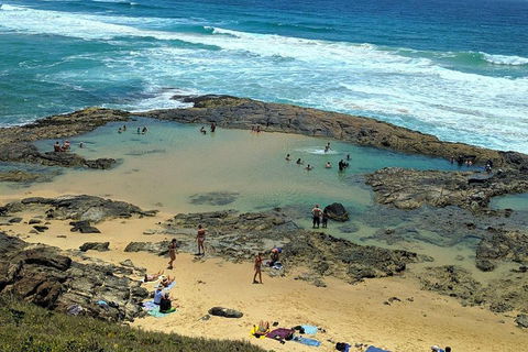 Pippies 3 Days 2 Nights Fraser Island Tour - Yamba Accommodation 5