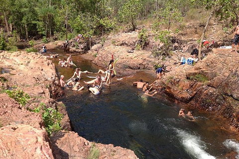 Litchfield National Park And Jumping Crocodile Cruise - Yamba Accommodation 5