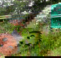 Port Arthur Richmond and Tasman Peninsula Day Trip from Hobart - Yamba Accommodation