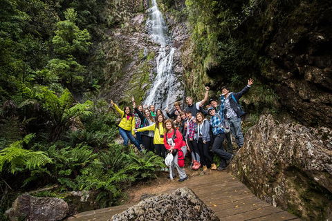 5-Day Lap Of Tasmania Tour From Hobart (flexible Ticket) - Yamba Accommodation 0