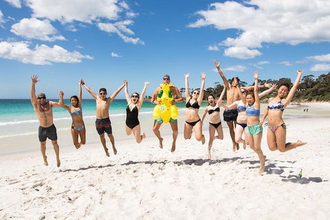 5-Day Lap Of Tasmania Tour From Hobart (flexible Ticket) - Yamba Accommodation 4