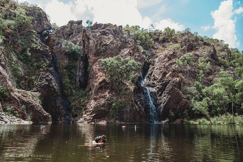 Litchfield National Park Day Tour From Darwin With Waterfalls And Buley Rockhole - Yamba Accommodation 1