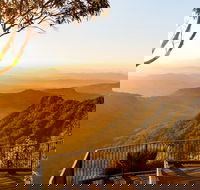 O'Reilly's  Lamington National Park incl. Alpaca Farm  Vineyard - Yamba Accommodation
