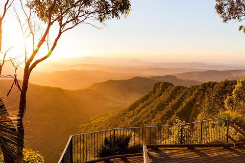 O'Reilly's & Lamington National Park Incl. Alpaca Farm + Vineyard - Yamba Accommodation 0