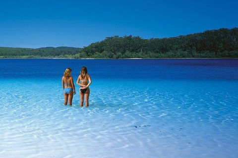 Fraser Island 4WD Tour From Noosa - Yamba Accommodation 2