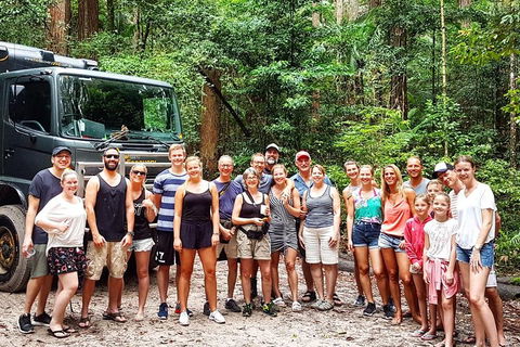 Fraser Island 4WD Tour From Noosa - Yamba Accommodation 3