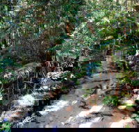 Fraser Island 4WD Tour from Rainbow Beach - Yamba Accommodation