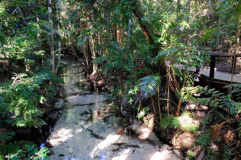 Fraser Island 4WD Tour From Rainbow Beach - Yamba Accommodation 0