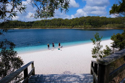 Fraser Island 4WD Tour From Rainbow Beach - Yamba Accommodation 3