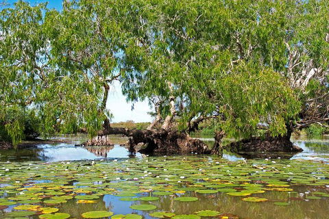 Ethical Adventures - Best In The WET - Litchfield / Kakadu 3 Day- Max 10 Guests - Yamba Accommodation 1