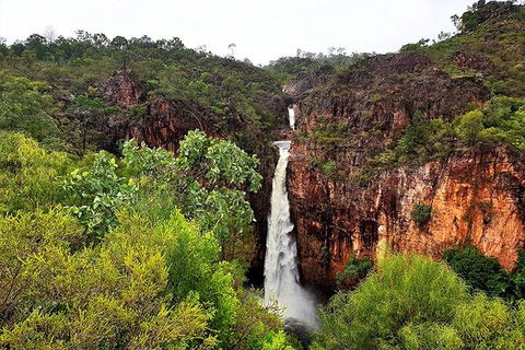 Ethical Adventures - Best In The WET - Litchfield / Kakadu 3 Day- Max 10 Guests - Yamba Accommodation 2