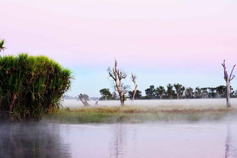 Ethical Adventures - Best In The WET - Litchfield / Kakadu 3 Day- Max 10 Guests - Yamba Accommodation 3