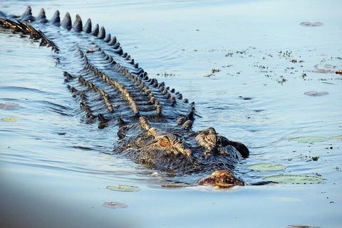 Ethical Adventures - Best In The WET - Litchfield / Kakadu 3 Day- Max 10 Guests - Yamba Accommodation 4
