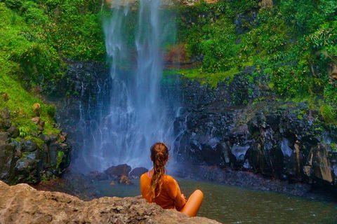 Rainforest & Waterfalls Extravaganza - Yamba Accommodation 2