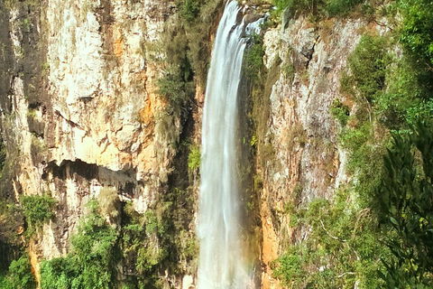 Rainforest & Waterfalls Extravaganza - Yamba Accommodation 3