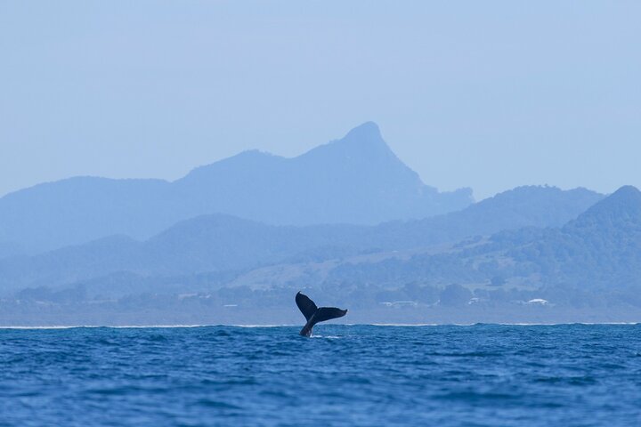  Yamba Accommodation