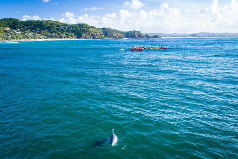 The Byron Bay Sea Kayak Tour - Yamba Accommodation 2