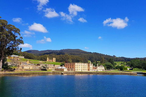 6-Day Tasmania Small-Group Guided Tour With Gourmet Food - Yamba Accommodation 5