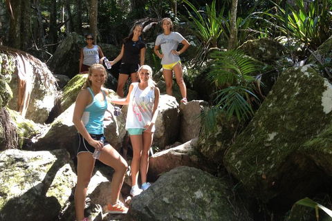 Byron Bay Hinterland Tour Including Rainforest Walk To Minyon Falls - Yamba Accommodation 3
