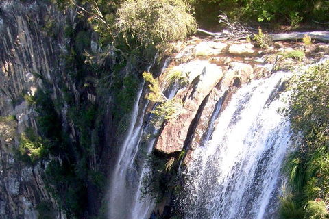 Byron Bay Combo: Hinterland Tour Including Minyon Falls And Kayaking With Dolphins - Yamba Accommodation 3