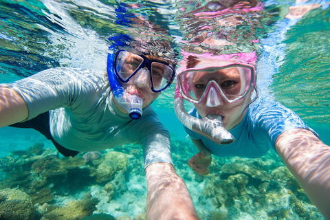 Whitehaven Beach And Hill Inlet Lookout Full-Day Snorkeling Cruise By High-Speed Catamaran - Yamba Accommodation 2