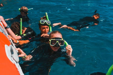 Whitehaven Beach And Hill Inlet Lookout Full-Day Snorkeling Cruise By High-Speed Catamaran - Yamba Accommodation 3
