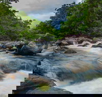 Cape Tribulation Day Tour - Yamba Accommodation