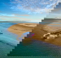 Town of 1770 Afternoon Cruise - Yamba Accommodation