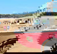 1770 Coastline Tour by LARC Amphibious Vehicle Including Picnic Lunch - Yamba Accommodation