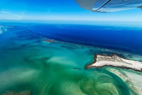 Wet Season Incredible Islands Tour - Horizontal Falls & Cygnet Bay Pearl Farm - Yamba Accommodation 4