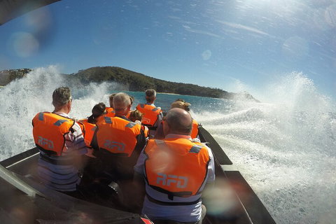 Noosa Thriller - 500hp Ocean Adventure Ride - Yamba Accommodation 3