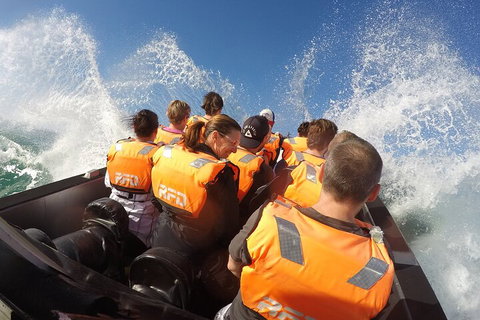 Noosa Thriller - 500hp Ocean Adventure Ride - Yamba Accommodation 4