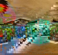 Skyrail  Kuranda Train Day Trip from Cairns - Yamba Accommodation