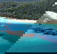All Inclusive Tangalooma Wrecks Cruise Tour From Gold Coast - Yamba Accommodation