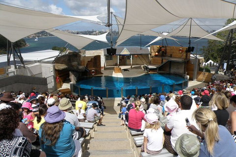 Sydney Taronga Zoo General Entry Ticket - Yamba Accommodation 5