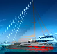 Passions of Paradise Great Barrier Reef Snorkel and Dive Cruise from Cairns by Luxury Catamaran - Yamba Accommodation