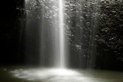 Natural Bridge Glow Worm Night Tour From Gold Coast - Yamba Accommodation 2